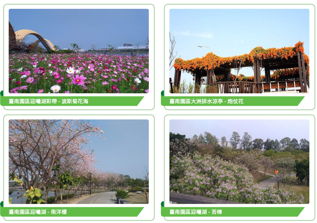 南科園區景觀綠美化成果