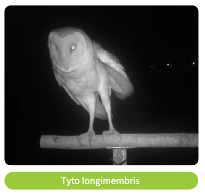 Online media sharing ecological information about park species