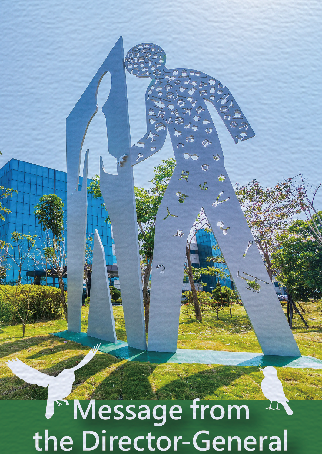 Message from the STSP Director-General