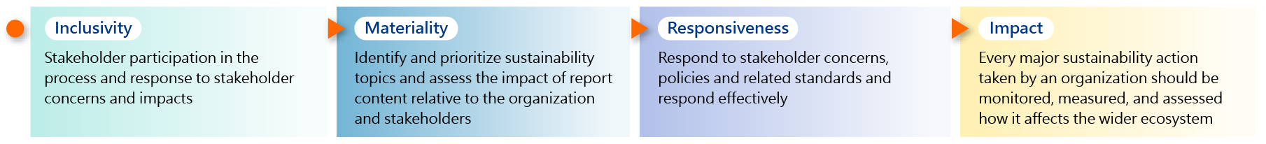 Diagram of the AA1000 assurance standard principles