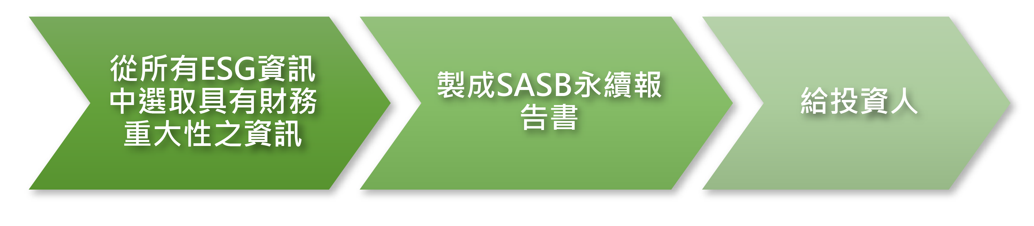 SASB 準則架構說明圖（1）