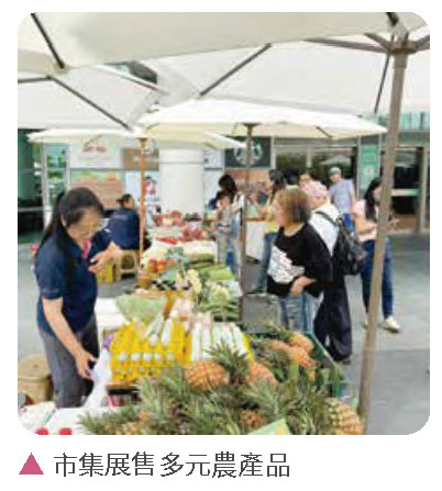 健全園區機能，樂活藝文南科－南科小農市集進駐Park17相關照片