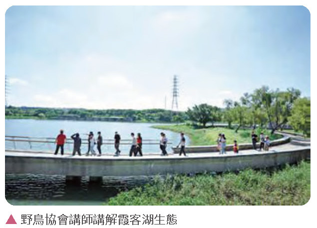 健全園區機能，樂活藝文南科－攜手企業推動淨湖行動相關照片