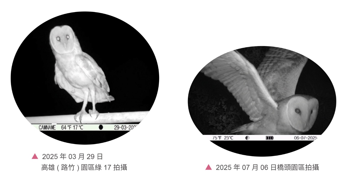 低碳生態社區，建築與環境共生共利－生態聚落相關照片