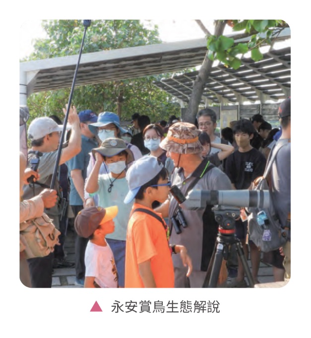 低碳生態社區，建築與環境共生共利－生態聚落相關照片